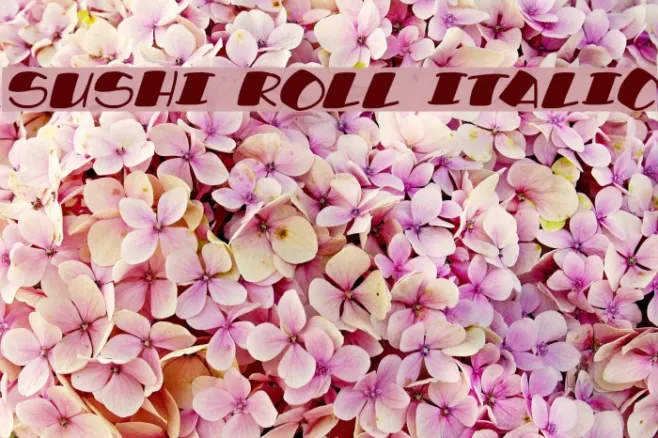 Sushi Roll Italic Example 3