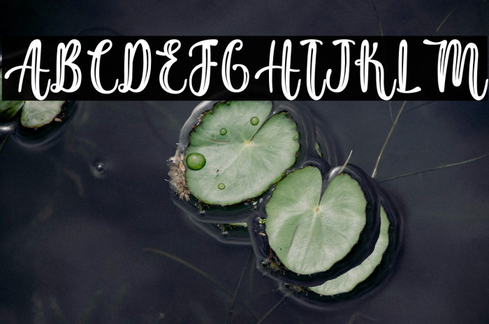 SushiKingPersonalUse Example 1