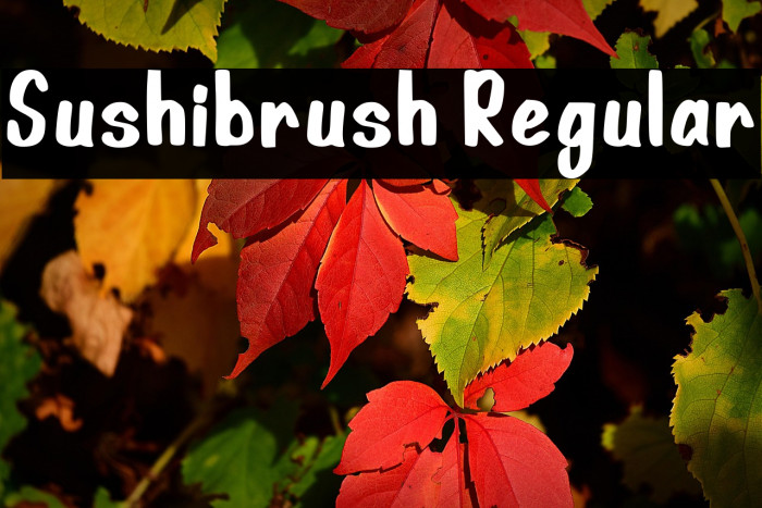 Sushibrush Regular Example 1