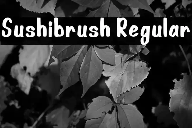 Sushibrush Regular Font examples