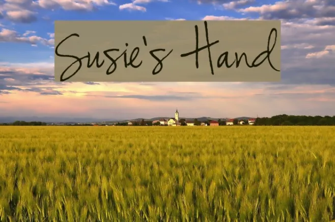 Susie's Hand Example 2