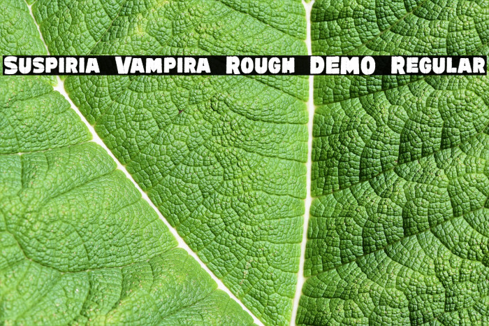 Suspiria Vampira Rough DEMO Regular Font examples