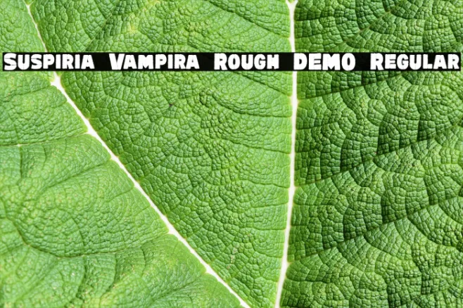 Suspiria Vampira Rough DEMO Regular Example 1