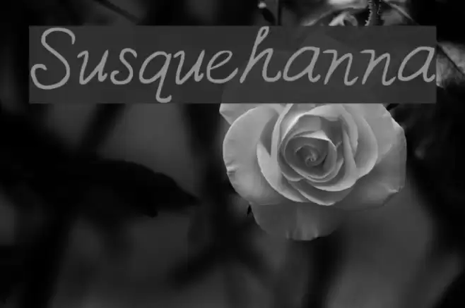 Susquehanna Font examples