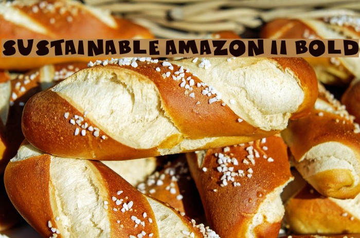 Sustainable Amazon II Bold Font examples