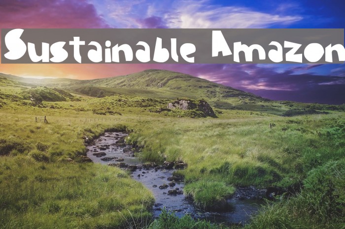 Sustainable Amazon Font examples