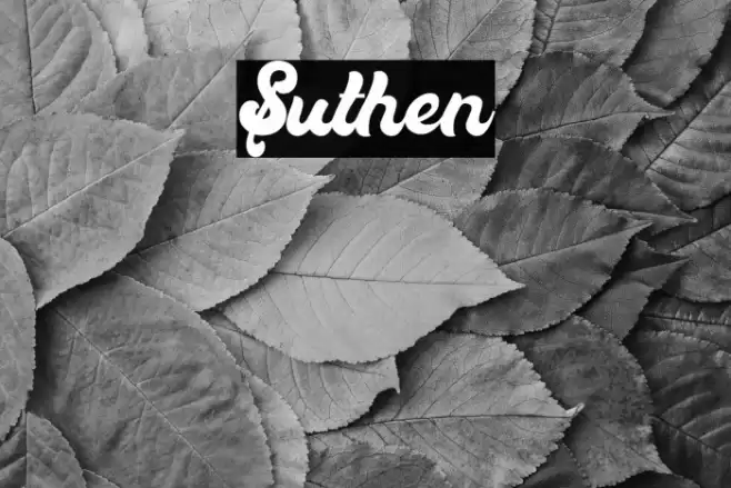 Suthen Font examples