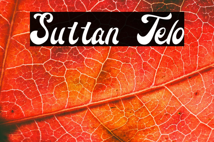 Suttan Telo Example 1
