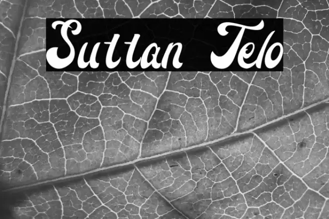 Suttan Telo Font examples