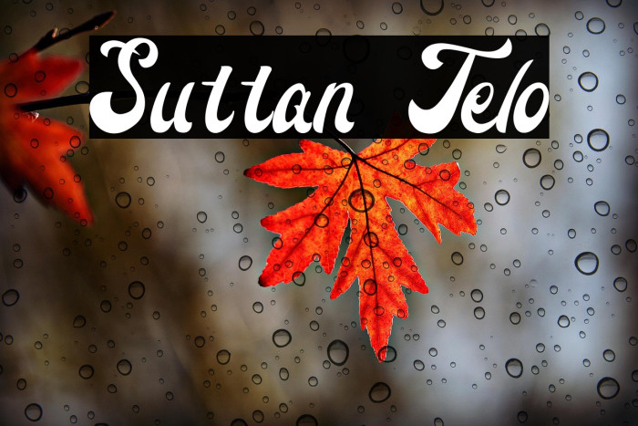 Suttan Telo Example 3