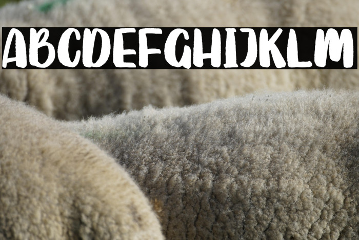 SutterCamp Example 3