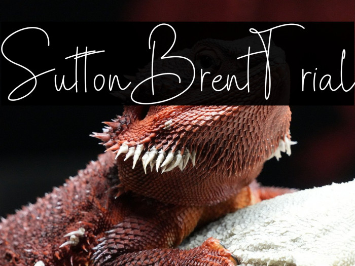 SuttonBrent-Trial Example 1