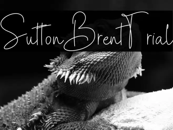 SuttonBrent-Trial Font examples