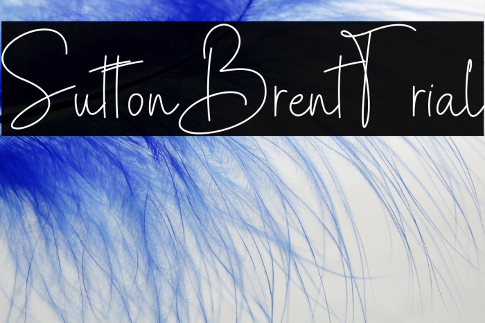 SuttonBrent-Trial Example 2