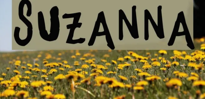 Suzanna Example 3
