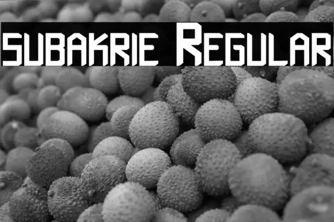 subakrie Regular Font examples