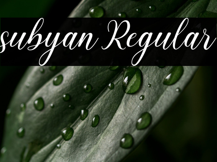 subyan Regular Example 1