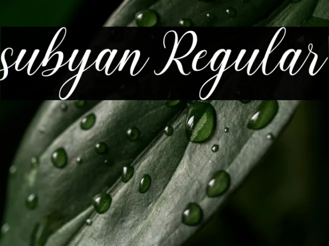 subyan Regular Example 1