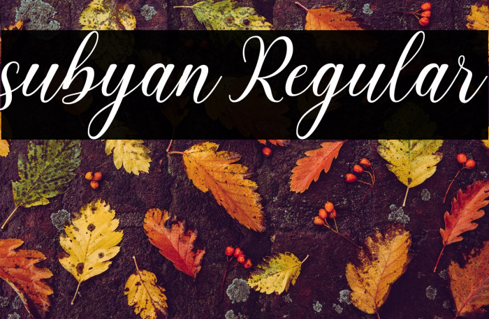 subyan Regular Example 2