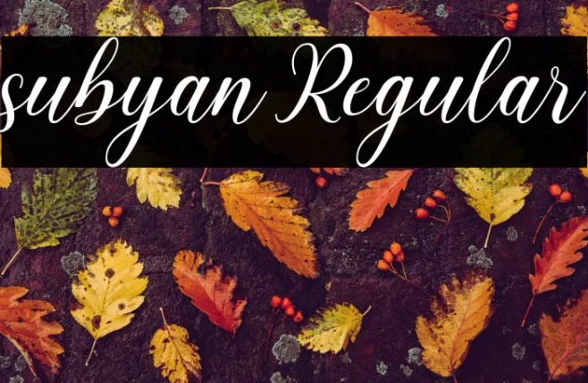 subyan Regular Example 2