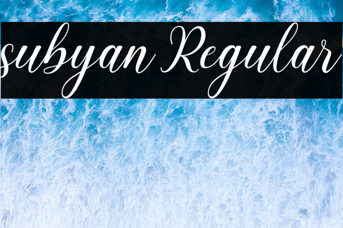 subyan Regular Example 3