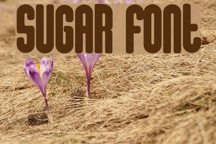 sugar Font examples