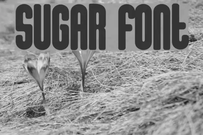 sugar फ़ॉन्ट examples