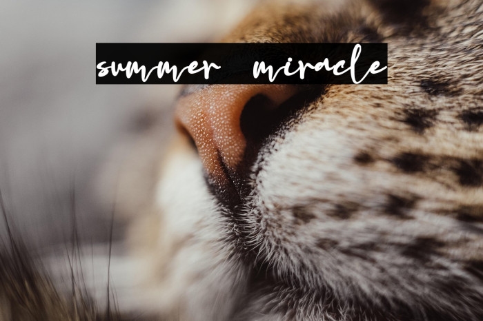 summer miracle Example 2