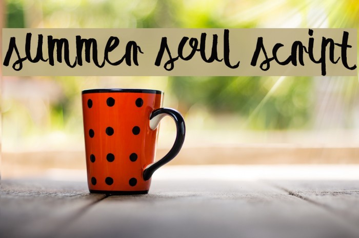 summer soul script Font examples