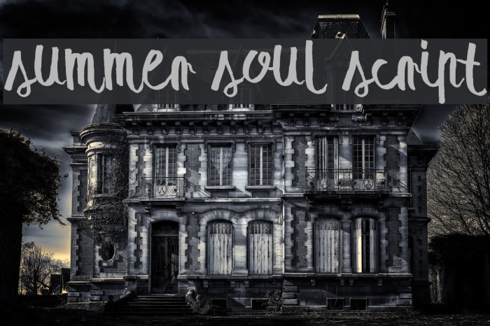 summer soul script Font examples