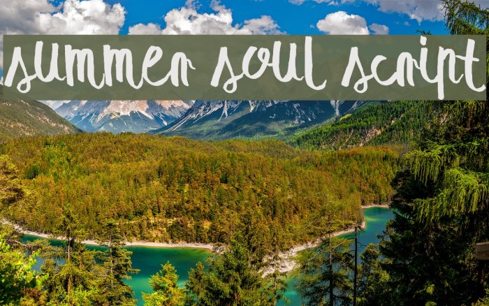 summer soul script Font examples