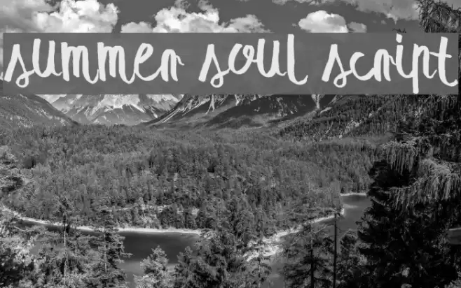 summer soul script Шрифта examples