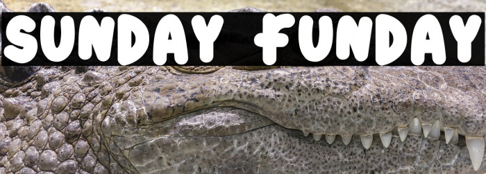 sunday funday Example 2