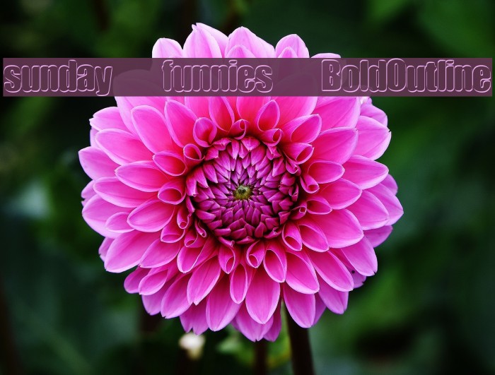 sunday funnies BoldOutline Example 1