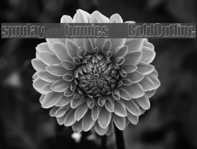 sunday funnies BoldOutline Font examples