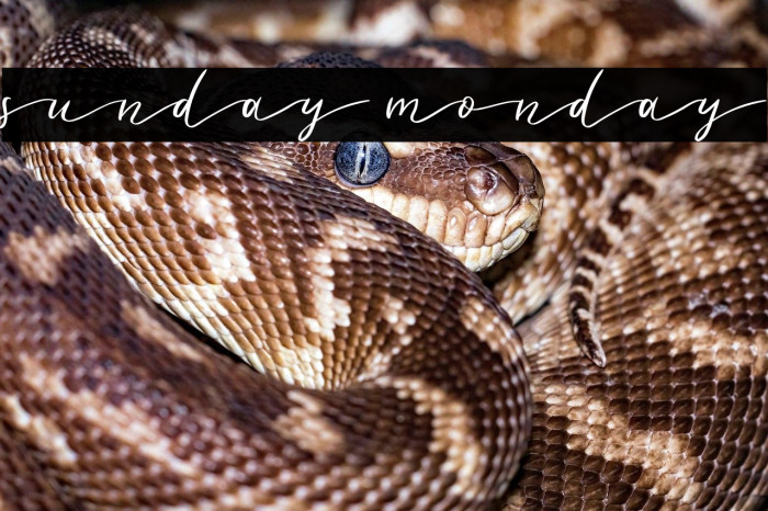 sunday monday Example 1