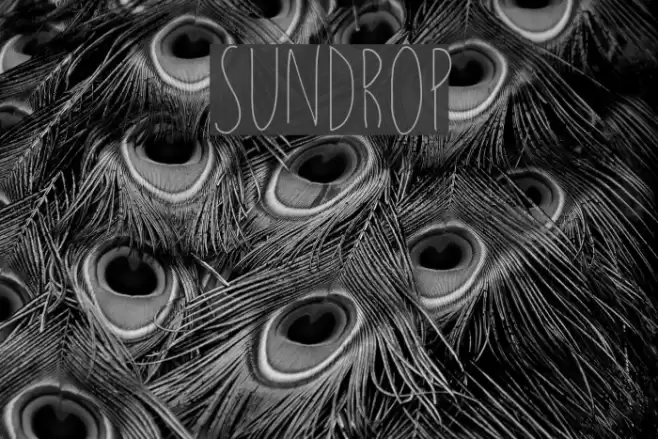 sundrop Font examples