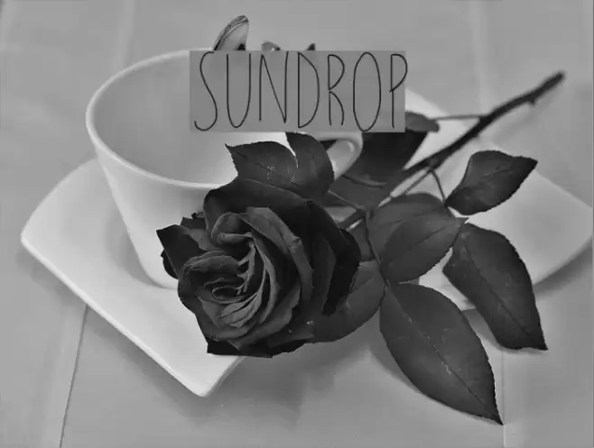 sundrop Font examples