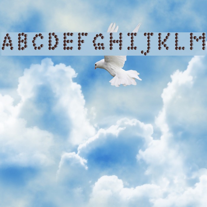 sunnyday Font examples