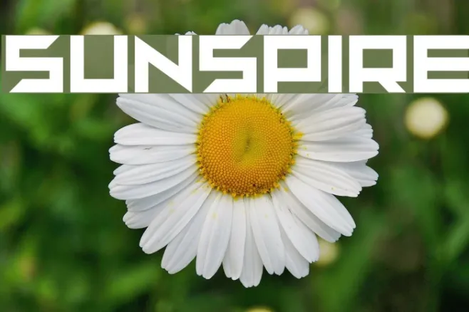 sunspire Example 1