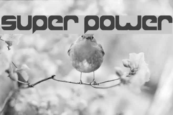 super power Font examples
