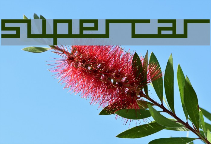 supercar Font examples