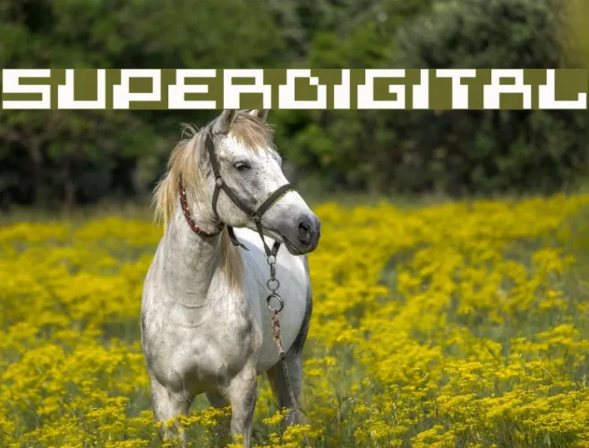 superdigital Example 1