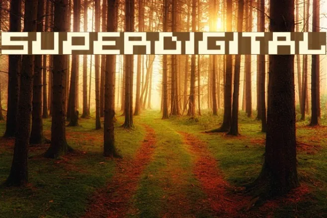 superdigital Example 2