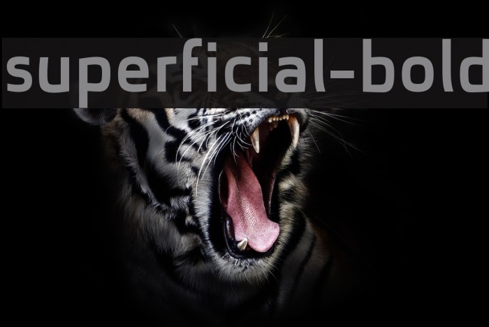 superficial-bold Font examples