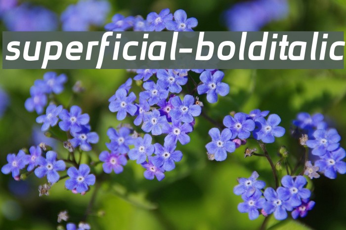 superficial-bolditalic Font examples