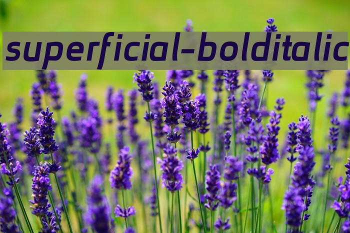 superficial-bolditalic Font examples