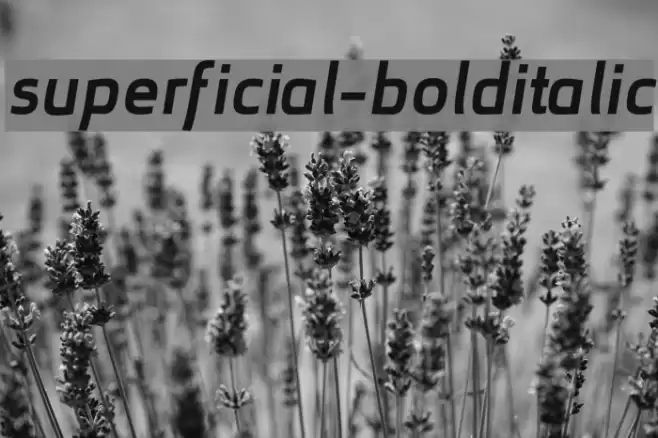superficial-bolditalic examples