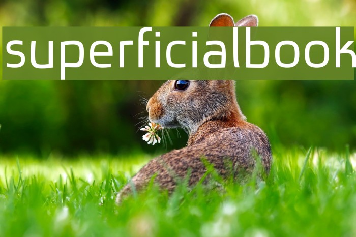 superficialbook Example 2