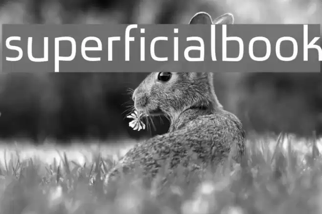 superficialbook Font examples